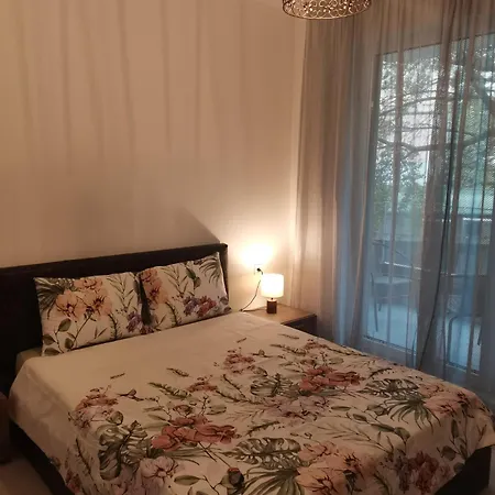 Apartman райзен *